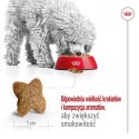 Karma Royal Canin Adult Mini S Ptaki 4 Kg