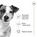 Karma Royal Canin Adult Mini S Ptaki 4 Kg