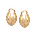 Gold earrings KXC6649