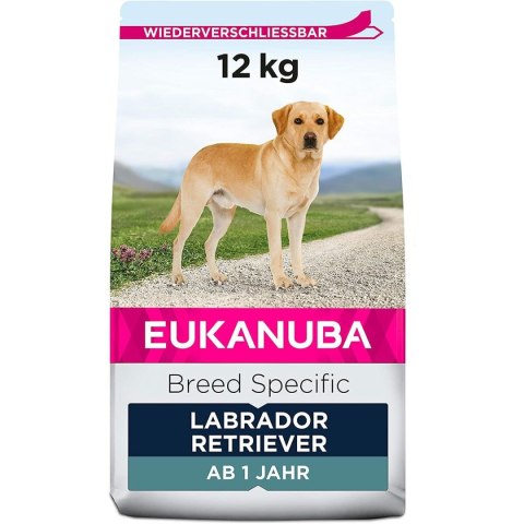 Karma Eukanuba Dorosły kurczak Indyk 12 kg