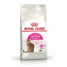 Karma dla kota Royal Canin Savour Exigent Dorosły Kukurydza Warzywo Ptaki 10 kg