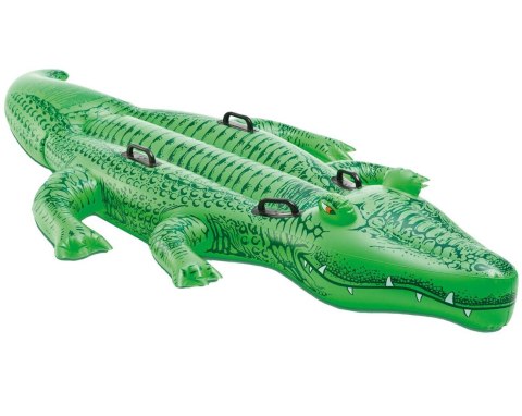 ALIGATOR DO PŁYWANIA