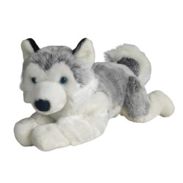 Maskotka Pies Husky Leżący Duży Pluszak 50cm Miękka Przytulanka Miś Piesek