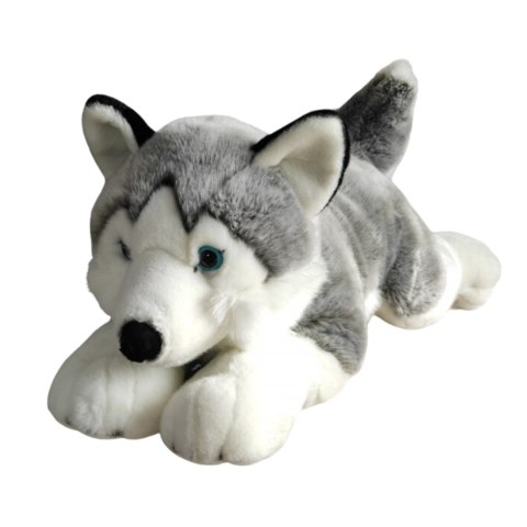 Maskotka Pies Husky Leżący Duży Pluszak 62cm Miękka Przytulanka Miś Piesek