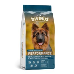 Karma Divinus German Shepherd Dorosły kurczak 10 kg 20 kg