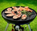 Grill gazowy 30mbar CADAC BBQ Carri Chef 47cm