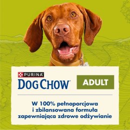 Karma Purina Dog Chow Adult Lamb Jagnięcina