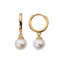 Silver earrings KDN6647Y - Freshwater pearls