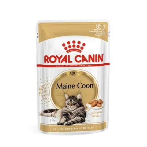 Karma dla kota Royal Canin RC POS musthave Mięso 12 x 85 g