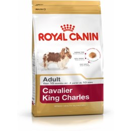 Karma Royal Canin Cavalier King Charles Dorosły 1,5 Kg