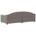 VidaXL Sofa z funkcją spania, kolor taupe, 100x200 cm, obita tkaniną