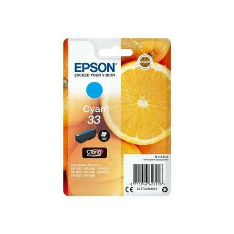 Oryginalny Wkład Atramentowy Epson EP62620 Turkusowy