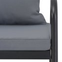 2-osobowa sofa ogrodowa z poduszkami, aluminium, szara