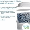 Filtr do Dzbanka Filtrującego Brita Maxtra Pro All-in-1 (2 Sztuk)