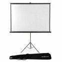 Monitor Ścienny ze Statywem + Torba iggual PSITS180 180 x 180 cm