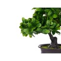 Roślina Dekoracyjna Bonsai Plastikowy 27 x 28 x 14 cm (8 Sztuk)