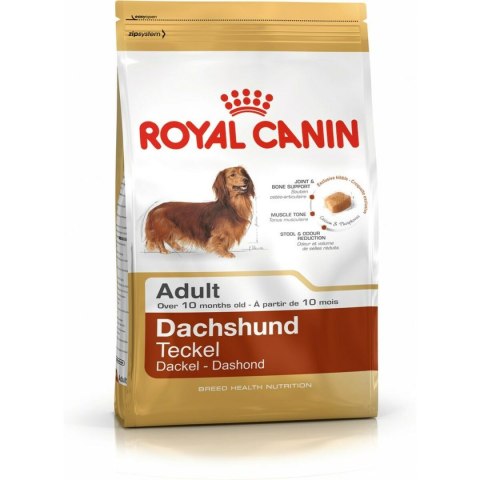 Karma Royal Canin Dachshund Adult Dorosły kurczak Ryż Ptaki 1,5 Kg