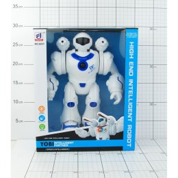 ROBOT NA BATERIE W PUDEŁKU 1SZT.