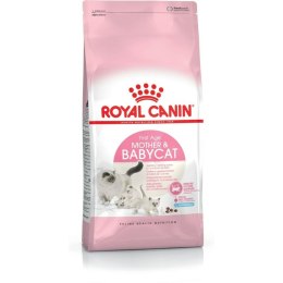 Karma dla kota Royal Canin kurczak 2 Kg