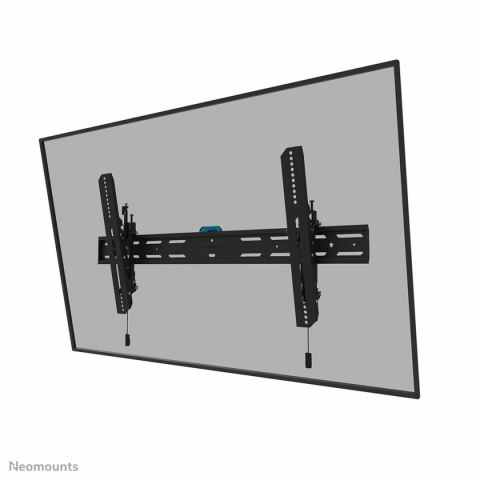 Uchwyt na TV Neomounts 12597273000 43-98" 43" 86" 100 kg