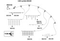 Diled oświetleniowa sieć - 100 LED ciepły biały + zasilanie