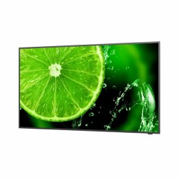 Monitor Videowall NEC 60005059 UHD 4K Ultra HD 65