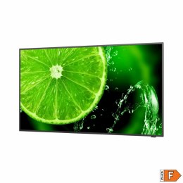 Monitor Videowall NEC 60005059 UHD 4K Ultra HD 65