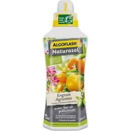 Nawóz roślinny Algoflash Citrus 500 ml