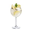 Zestaw kubków Gin and Tonic Chef & Sommelier Symetrie 6 Sztuk Szkło 580 ml