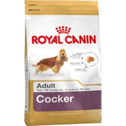 Karma Royal Canin Cocker Adult Dorosły kurczak Ryż Kukurydza Ptaki 12 kg