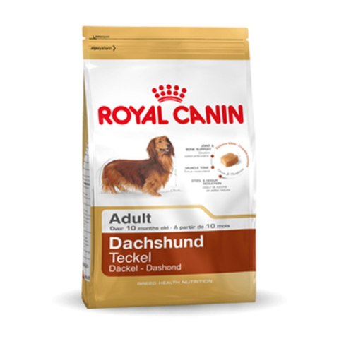 Karma Royal Canin Dachshund Adult Dorosły kurczak Ptaki 7,5 kg