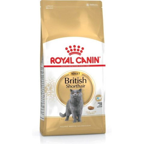 Karma dla kota Royal Canin British Shorthair Dorosły kurczak Ptaki 2 Kg