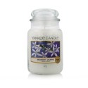 Świeczka Zapachowa Yankee Candle Classic Large Jar Candles Midnight Jasmine 623 g