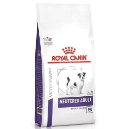 Karma Royal Canin Neutered Adult Small VHN Dorosły Kukurydza Ptaki Świnia 3,5 g