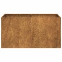 VidaXL Doniczka Rusty 80x40x40 cm Stal nierdzewna