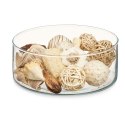 Decorative Potpourri Biały Brązowy 16 x 21 x 7 cm (12 Sztuk)
