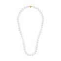 Gold necklace NZX6678 - Freshwater pearls