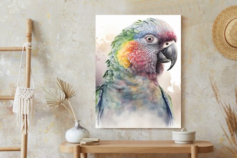 Plakat Papuga Na Akwareli