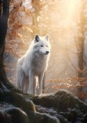 Plakat Biały Wilk Stojący Na Skale W Lesie