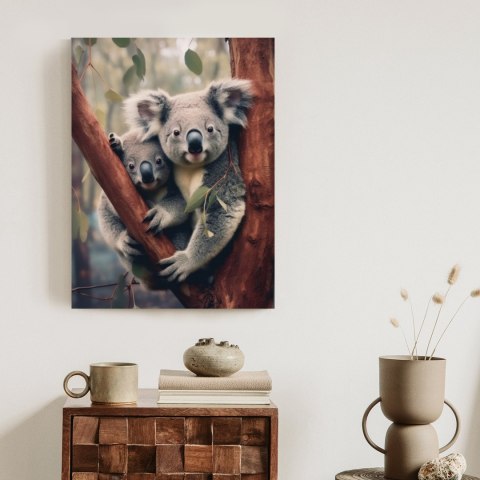 Plakat Dwa Misie Koala Na Gałęzi