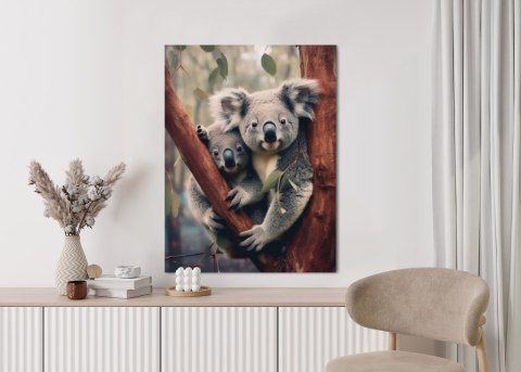 Plakat Dwa Misie Koala Na Gałęzi