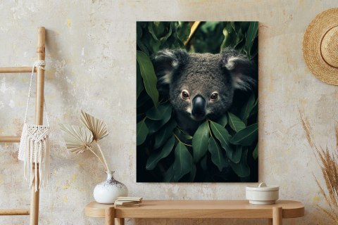 Plakat Koala Siedzący W Liściach