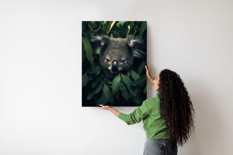 Plakat Koala Siedzący W Liściach