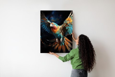 Plakat Kolorowa Papuga Z Rozpostartymi Skrzydłami