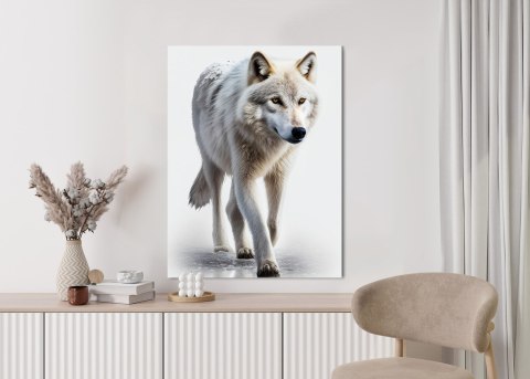 Plakat Majestatyczny Wilk Na Białym Tle