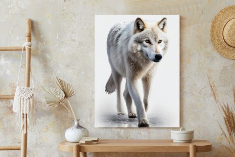 Plakat Majestatyczny Wilk Na Białym Tle
