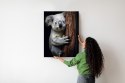 Plakat Miś Koala Obejmujący Drzewo