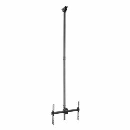 Uchwyt na TV Startech FPCEILPTBLP 50 kg 32