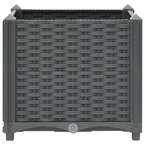 Donica do podniesionej rabaty, 40x40x38 cm, polipropylen