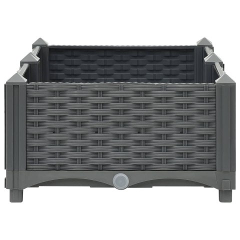 Donica do podniesionej rabaty, 80x40x23 cm, polipropylen